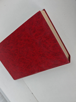 Поцелуй Иуды. Классический детектив