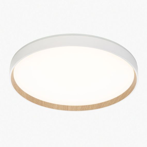 Потолочный светодиодный светильник Citilux Etalon CL750400R