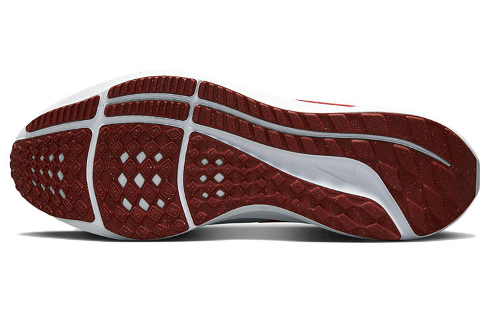 Кроссовки Nike Air Zoom Pegasus 39