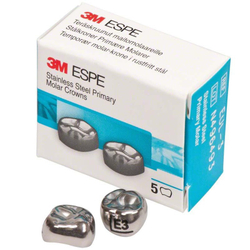 Второй верхний левый моляр, размер 3 (E-UL-3)