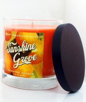 Great American Scents Sunshine Grove