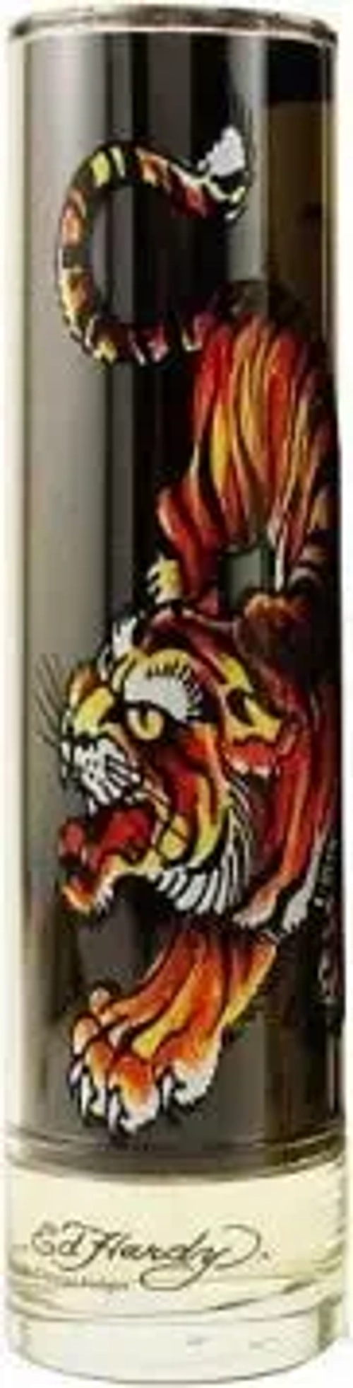 Мужская парфюмерия Christian Audigier EDT 50 мл