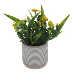 GAEM Цветочная композиция, L10 W10 H20 см, 3в.