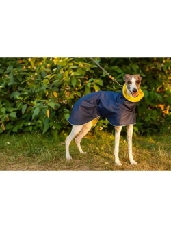 Попона дождевик для собак  средних пород Уиппета Левретки