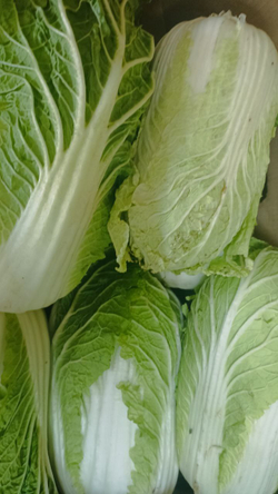 Свежие овощи и фрукты