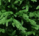 Ель искусственная «Лесная красавица» (Литая хвоя) 250 см / 2,5 м