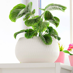 Кашпо Жемчужина 4л, белый