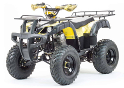 Квадроцикл MOTOLAND 250 Adventure (2021 Г.)