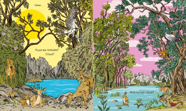 Наш день в лесу. Книга-игра