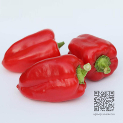 Рапидо F1 семена перца сладкого (Гавриш)