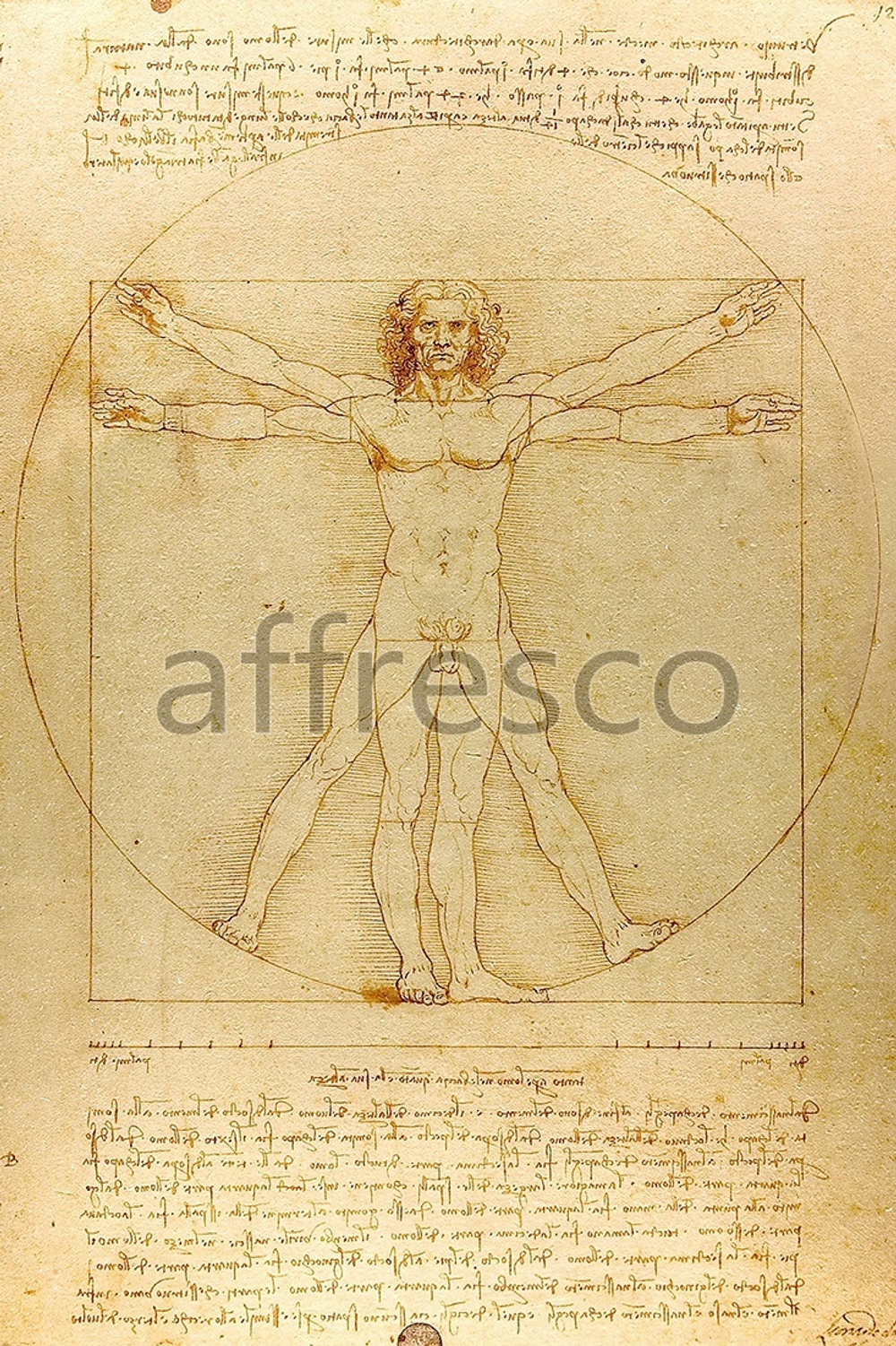 Фреска арт. ID136454