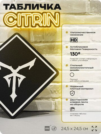 Табличка декоративная "Resident Evil 4, Insignia" на дверь и стену, прикольная штука в подарок геймеру, декоративный знак, 24,5х24,5 см, Айдентика Технолоджи