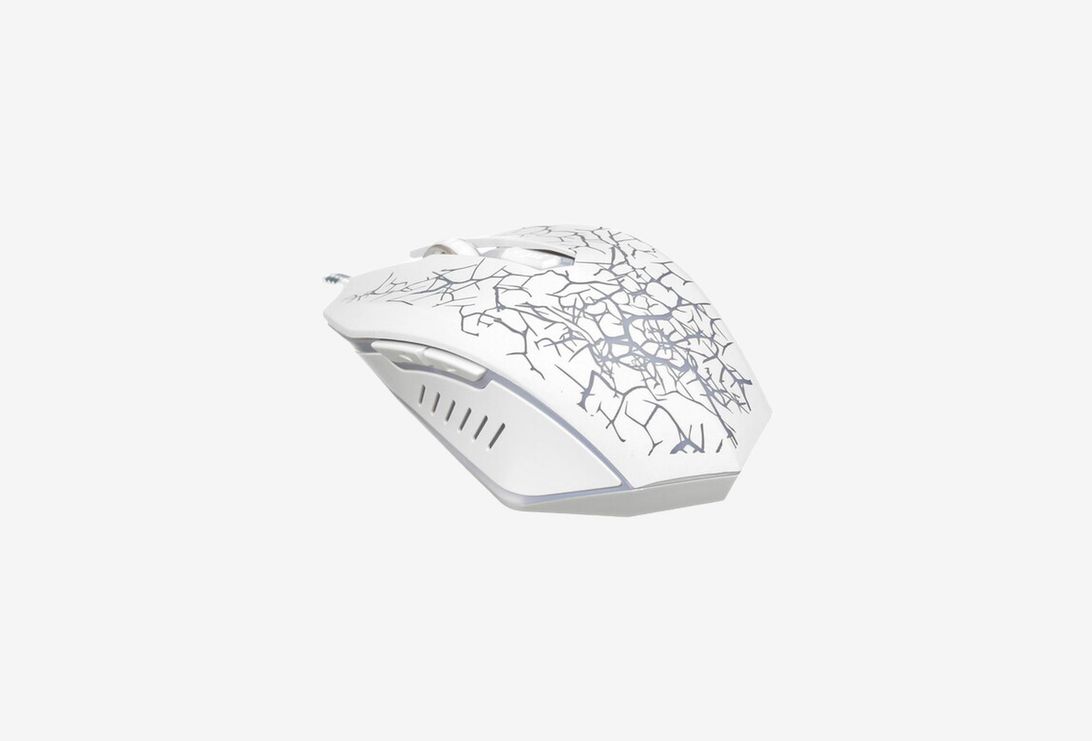 Aceline GS Notos_0426327100939