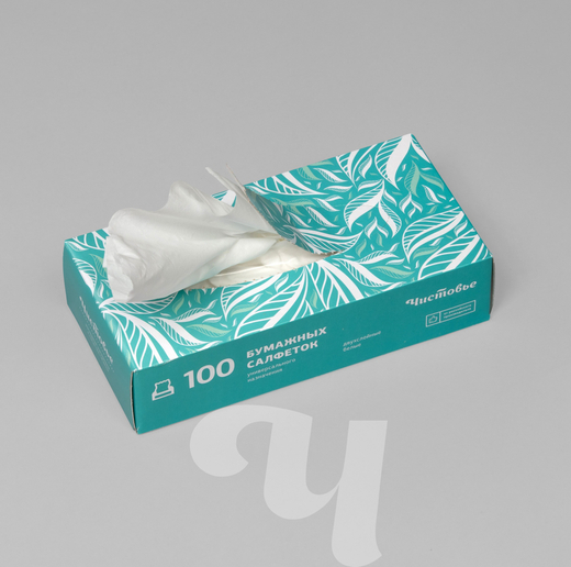 Салфетки бумажные двухслойные вытяжные 100шт/уп, 00-274