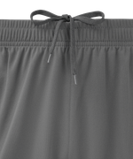 Шорты тренировочные без карманов JÖGEL PREMIER PerFormDRY Training Shorts, темно-серый