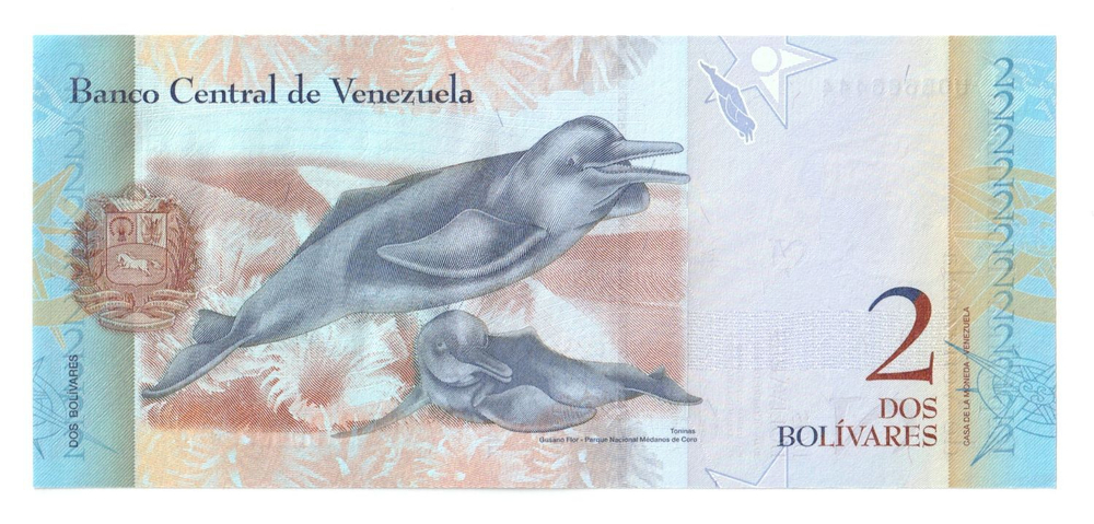 Venezuela, 2 Bolívares, 2013, UNC