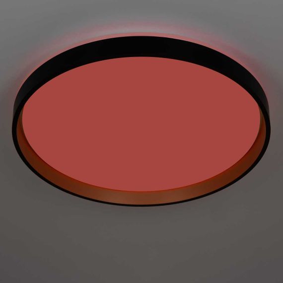 Светильник потолочный Citilux ENZO CL753511G