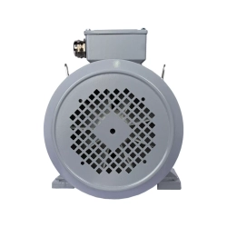 Электродвигатель ESQ PR 160 L4-SDN-Б1-S12-IE3 15/1500 IMB35