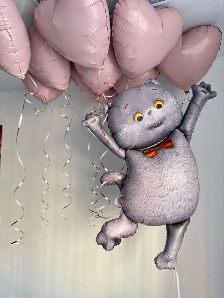 Воздушные гелиевые шарики с доставкой по Хабаровску пудра/пыльная роза/кот Басик№5026