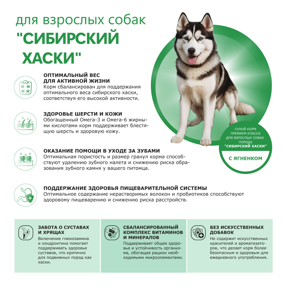 Корм сухой для взрослых собак породы Сибирский хаски, с ягненком, 12 кг, QUATTRO