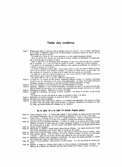 64 рисунка для вышивки гладью | Шагрен Касьян Дмитриевич де