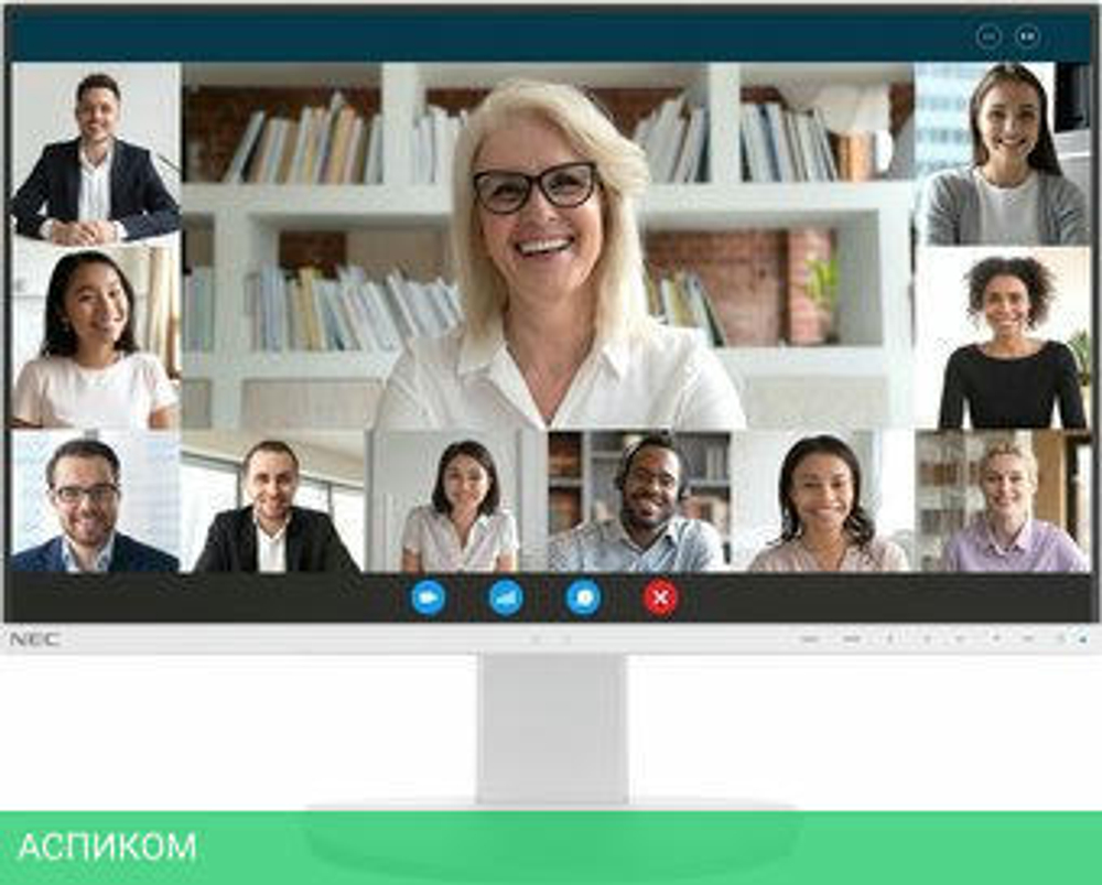 Монитор NEC MultiSync EA242F (белый)