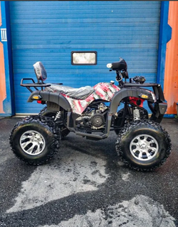 Квадроцикл Grizzly 200