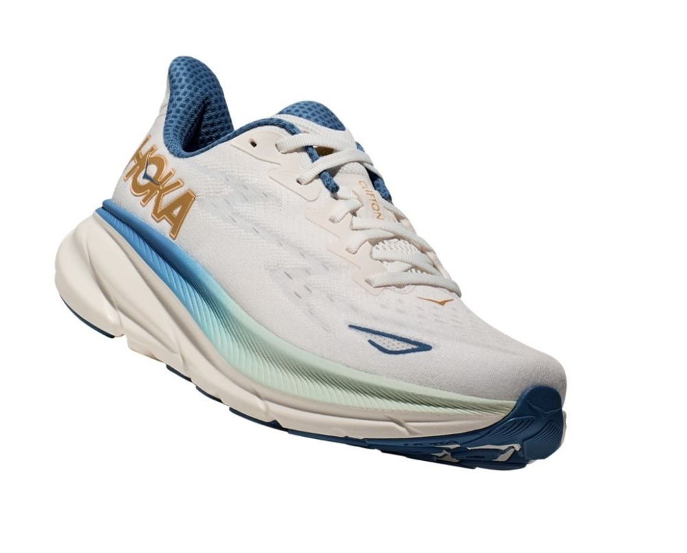Кроссовки мужские Hoka Clifton 9