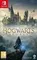 Hogwarts Legacy (Nintendo Switch, Русские субтитры)