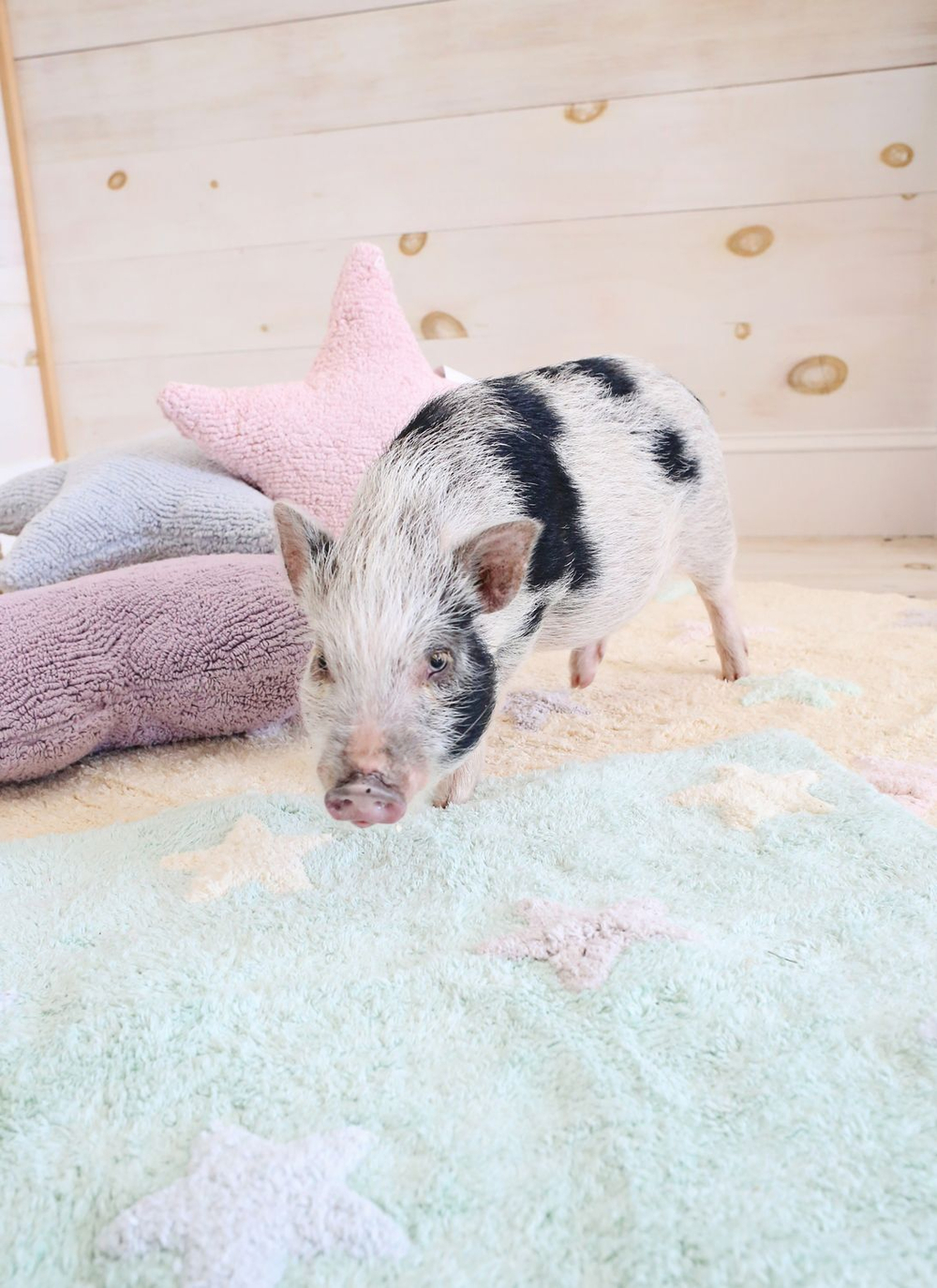 Ковер Lorena Canals Tricolor Stars Mint (120 x 160 см)