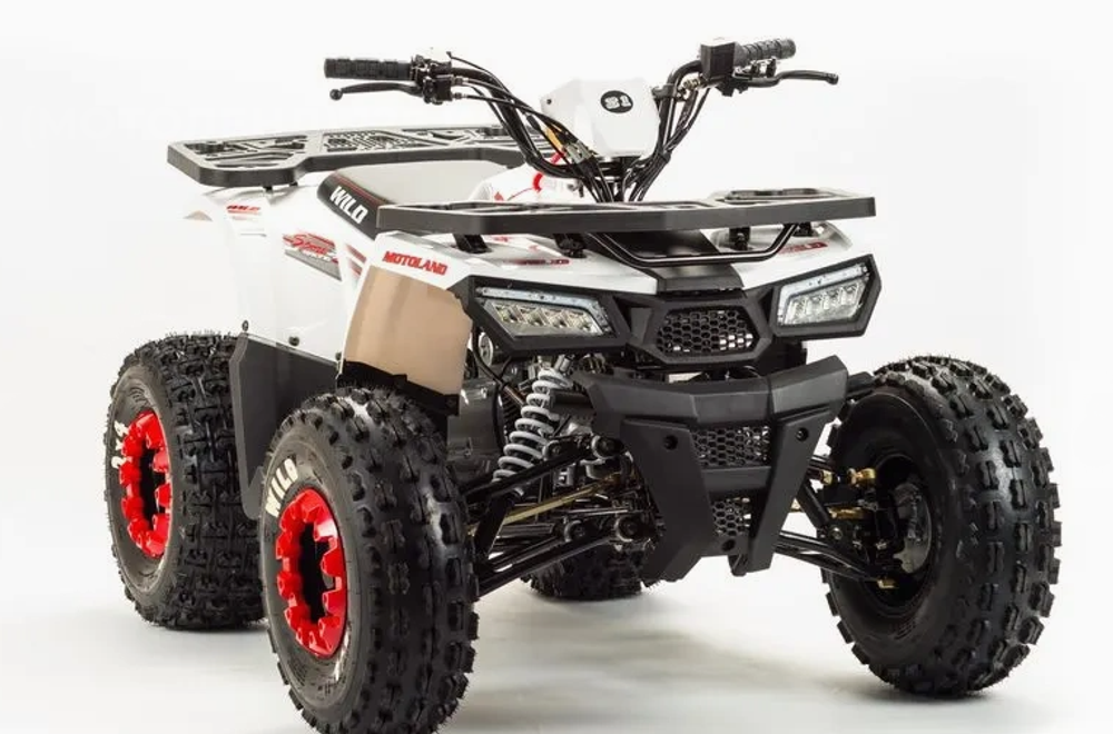 Квадроцикл MOTOLAND (МОТОЛЕНД) 125 WILD