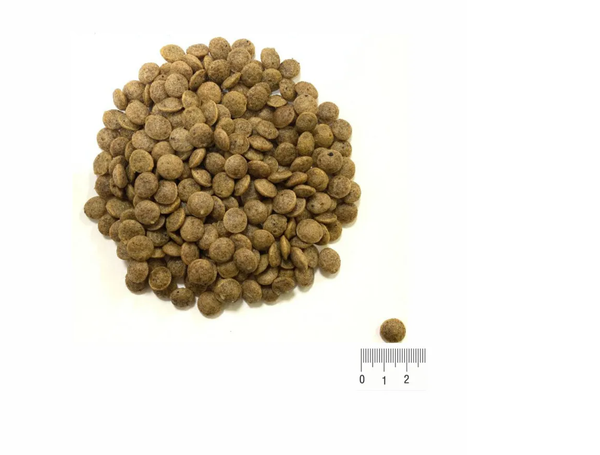 Сухой корм Shelly Аdult Сat Premium для взрослых кошек, с уткой и индейкой