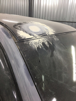 Галерея Раптор