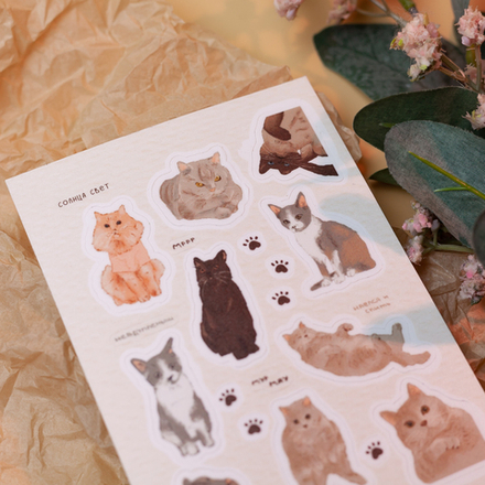 Стикерпак "Мур мяу" 🤎