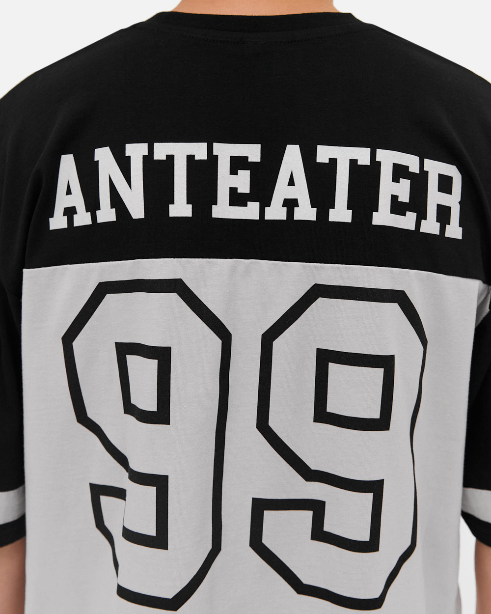Футболка Anteater 413