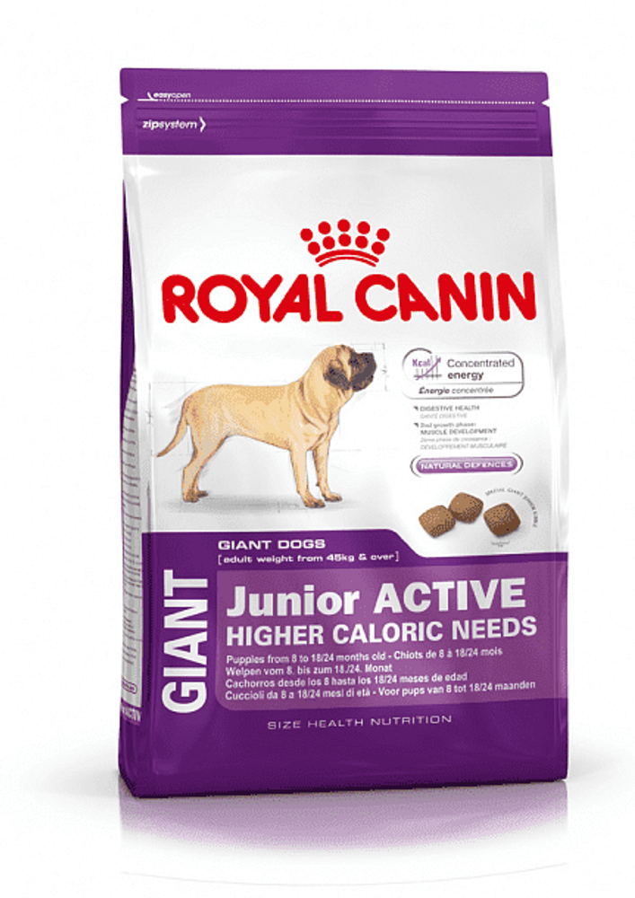 Royal Canin ДЖАЙНТ Юниор Актив 15 кг