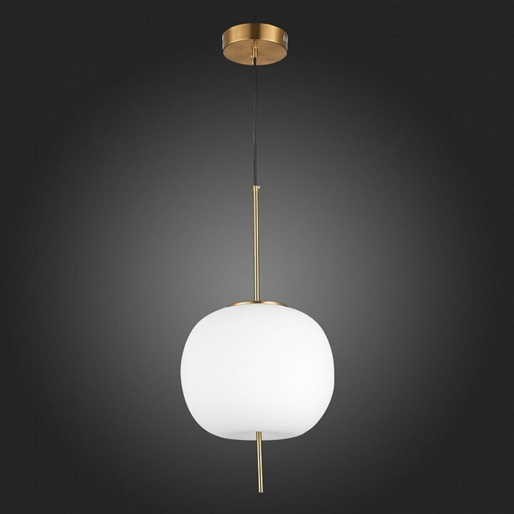 Подвесной светильник ST-Luce SL1621.213.01