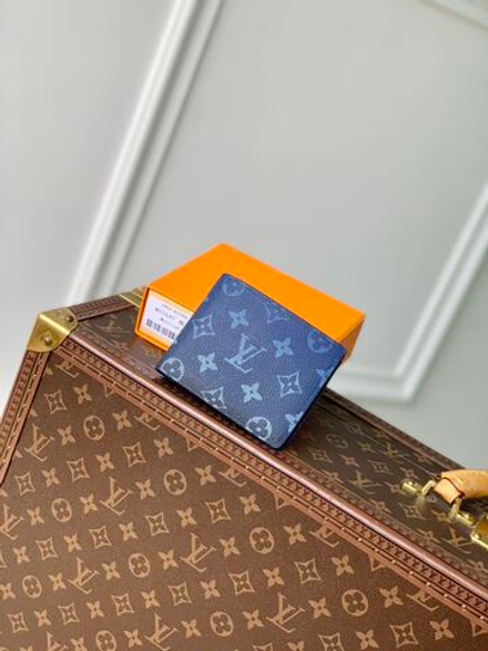 Louis Vuitton Multiple Wallet