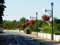 Цветочница Фигурная 2