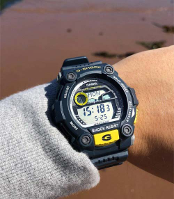 Часы Casio G-7900-2E