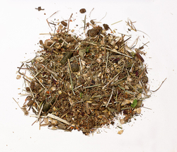 Желудочный Сбор