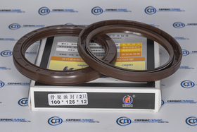 Сальник раздатки 100х125х12 Shacman FR10012512