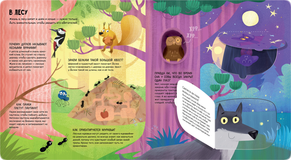 Энциклопедия почемучки. Книжка с окошками. Животные мира