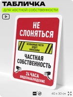 Табличка для частной территории "Не слоняться, частная собственность", на дом, для участка, организаций, предупреждающая, 40х30 см, Silver Plane x Айдентика Технолоджи