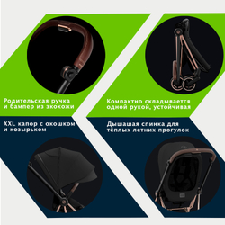 Прогулочная коляска Cybex MIOS III