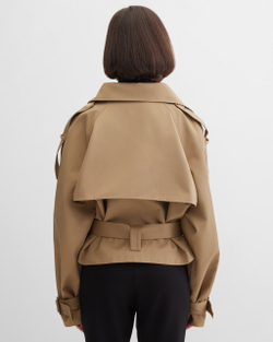 photo_2025-11-02_05-30-01