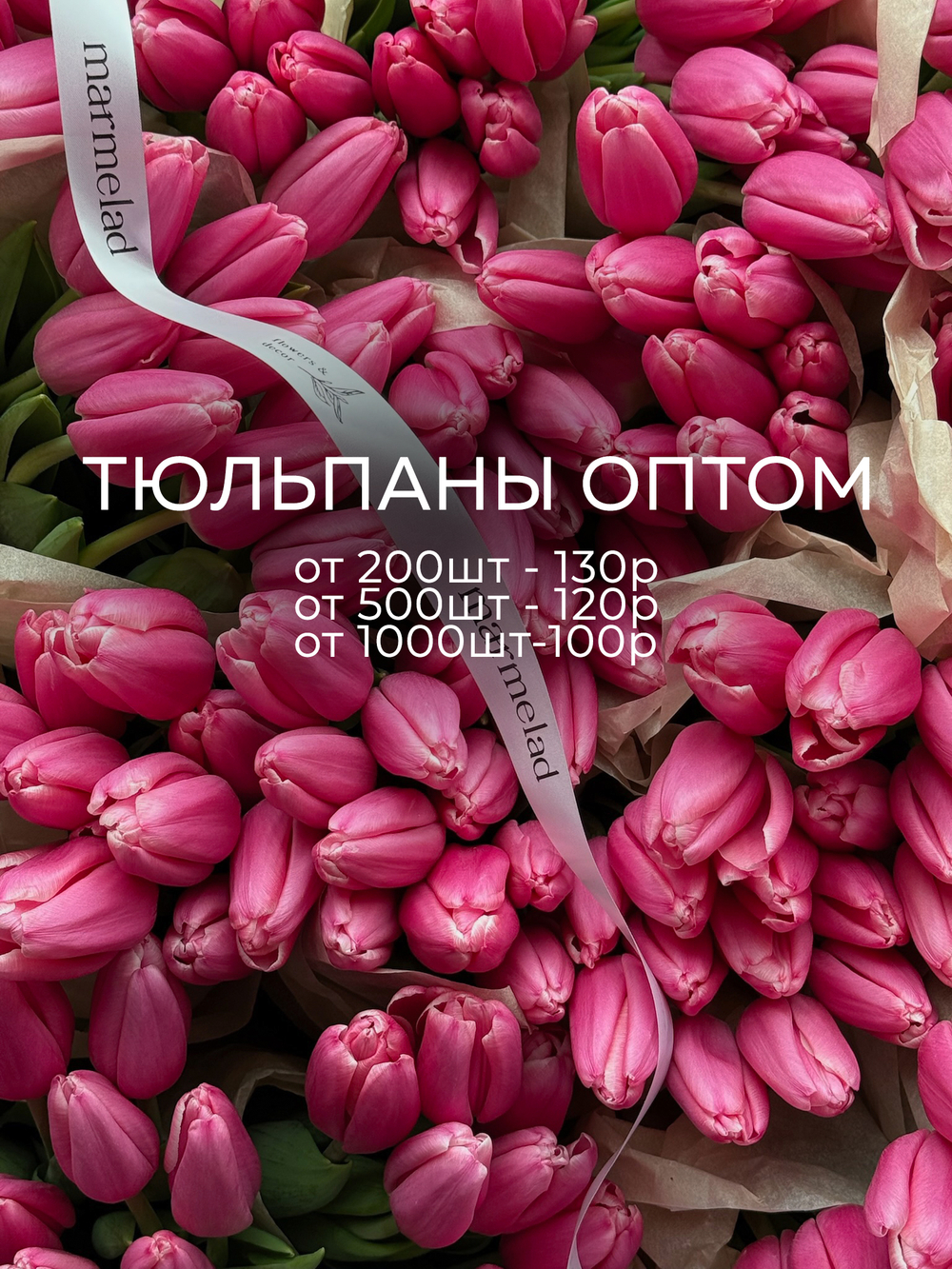 ОПТ тюльпан - классика ЯРКО РОЗОВЫЙ