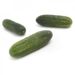 БЕРНШТАЙН F1 семена огурца (Rijk Zwaan | Alexagro)