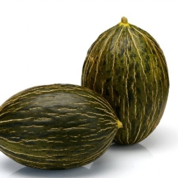 РИКУРА F1 семена дыни (Rijk Zwaan | Alexagro) – фото 3