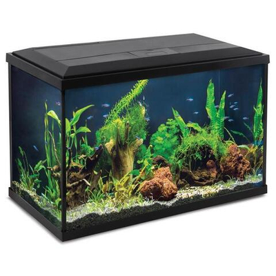 Аквариум Breeze, черный, 37,8л, 510*256*325мм, Laguna AQUA